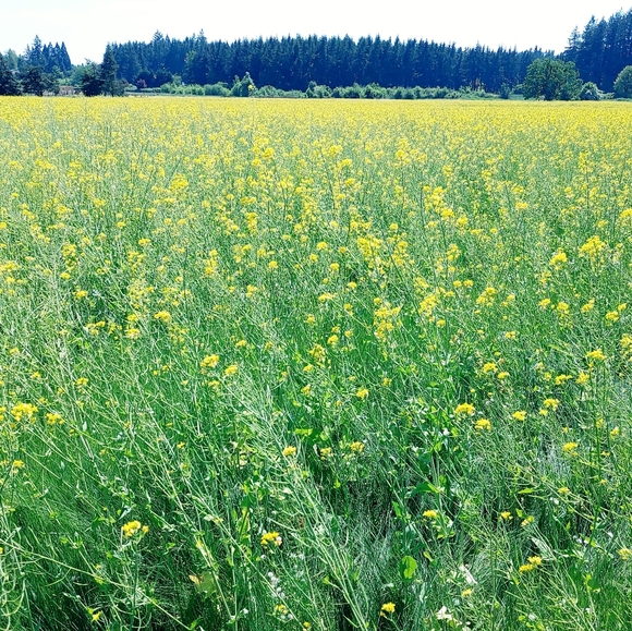 πππ - Picture 3 of 4